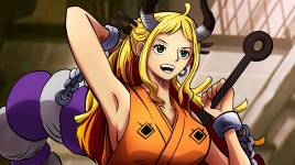 海贼王里十大最漂亮的女性,海贼王女性角色介绍大全