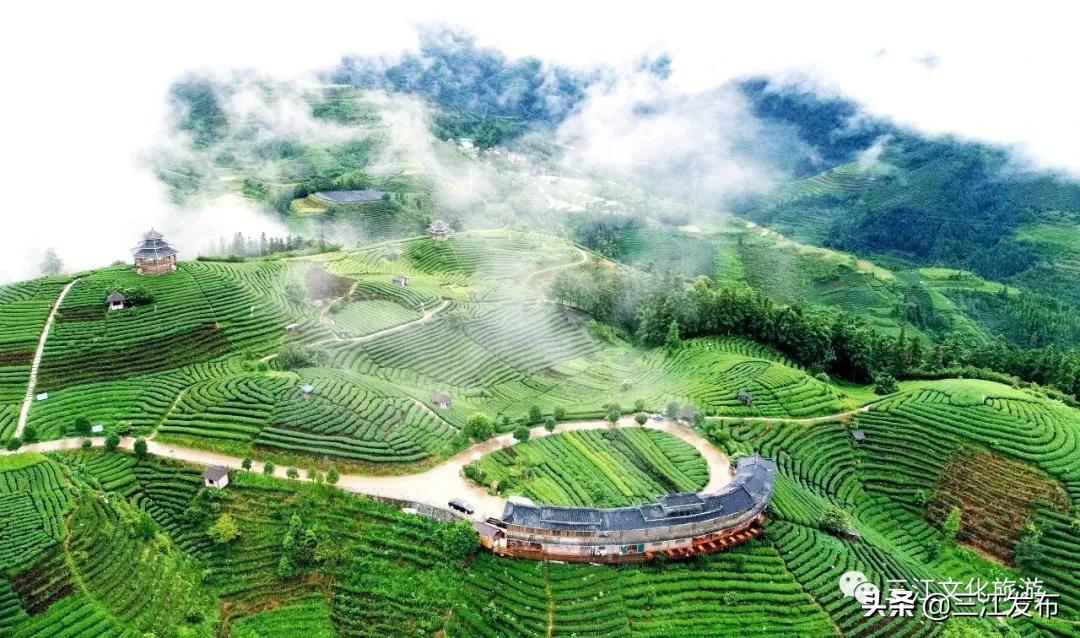 第18届侗族多耶节开幕,广西侗族多耶节是什么时候举办