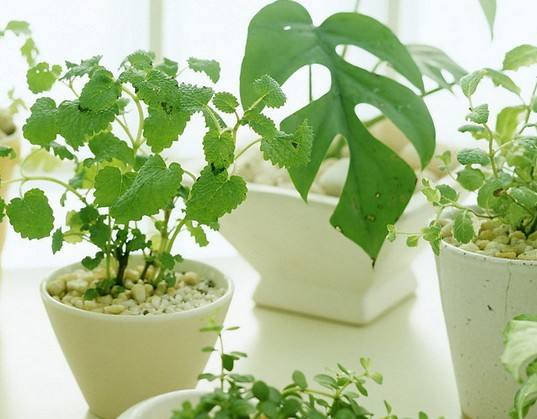 如何消灭甲醛最快方法,木童治理甲醛三步法