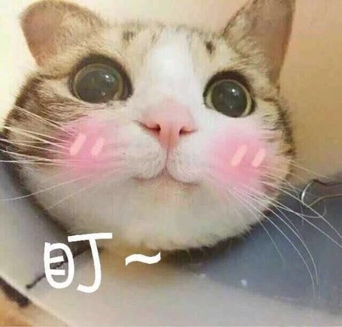 小众印花t恤哪款好看,古着vintage小众上衣