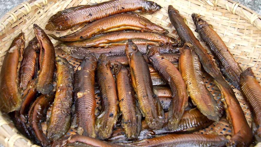 藕塘里养泥鳅赚了钱,养泥鳅10万元赚40万