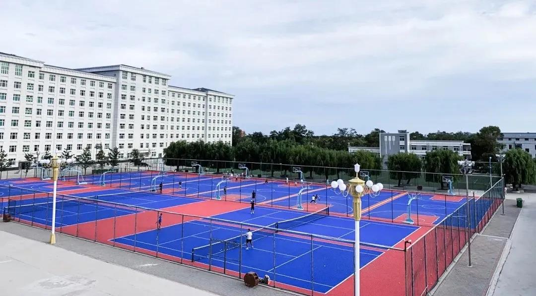 以社会力量拓宽体育人才培养渠道,社会体育指导与管理人才培养方案