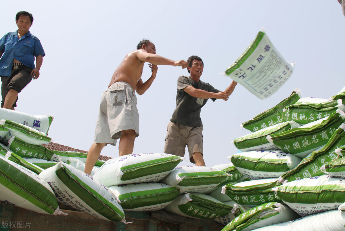 尿素价格的上涨对农民的影响,尿素价格为啥涨