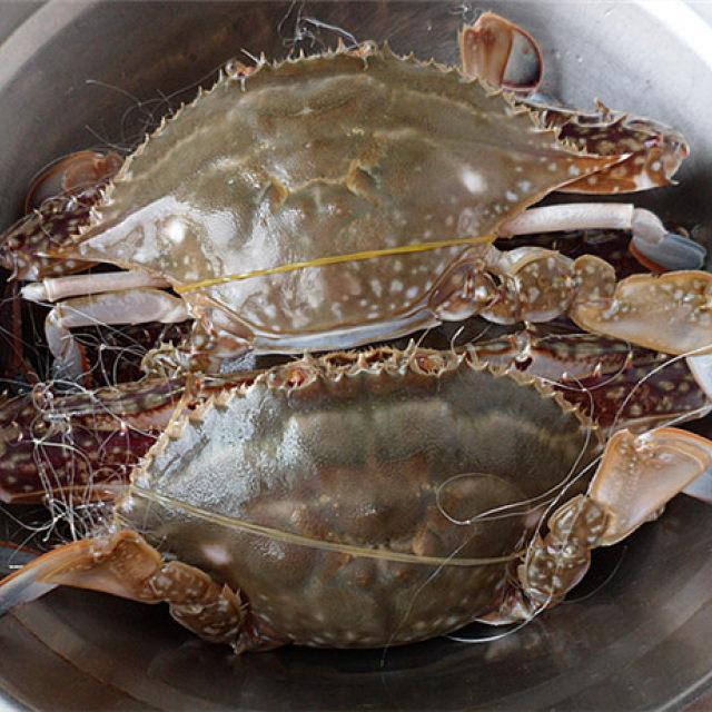 为什么一定要吃活蟹,鲜活的蟹为什么不能吃