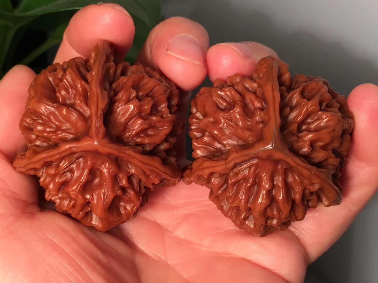 文玩核桃正确盘玩和保养方法,新入手文玩核桃需要入水吗