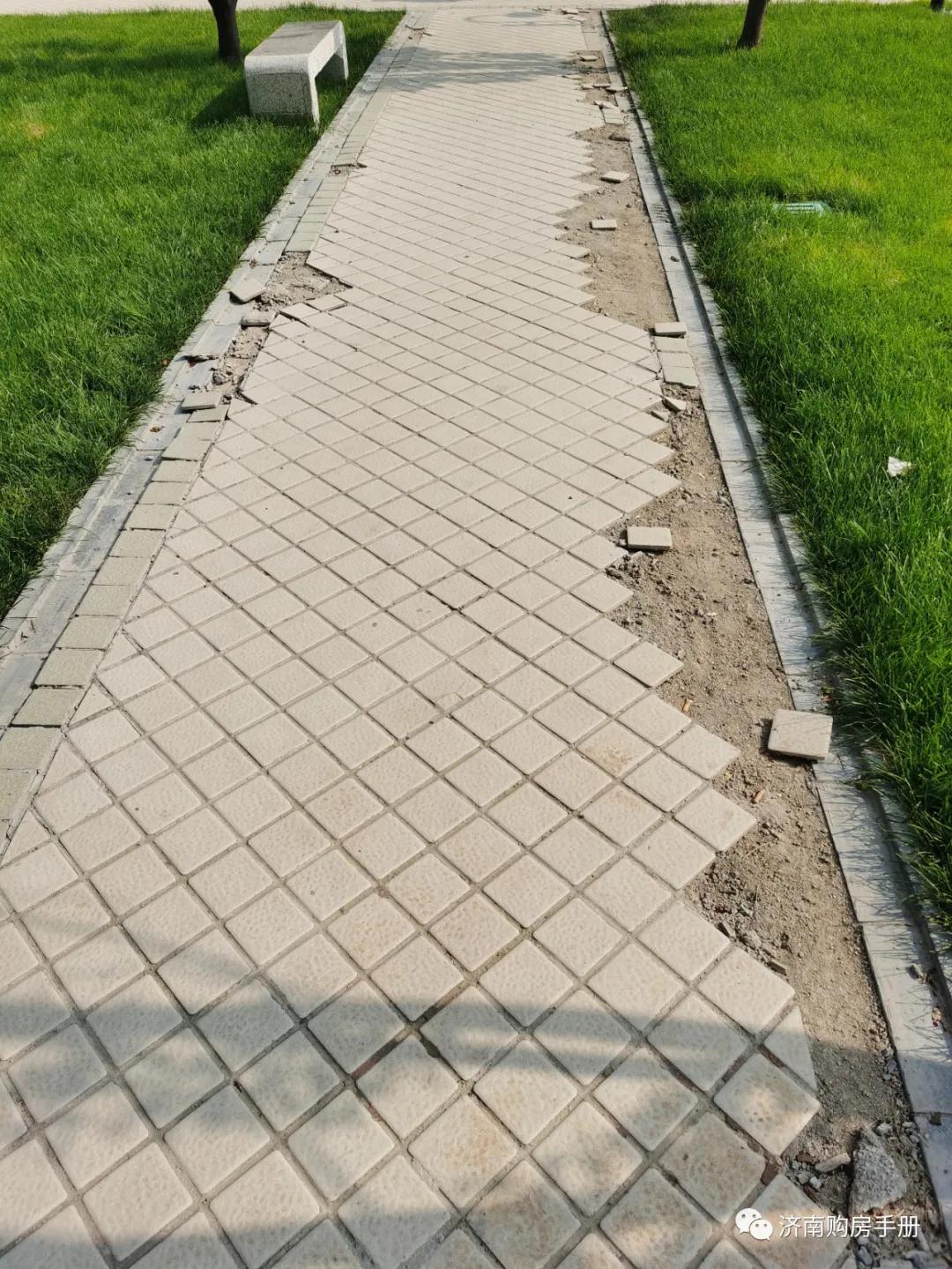 济南碧桂园凤凰城最新房价,济南碧桂园最新的情况