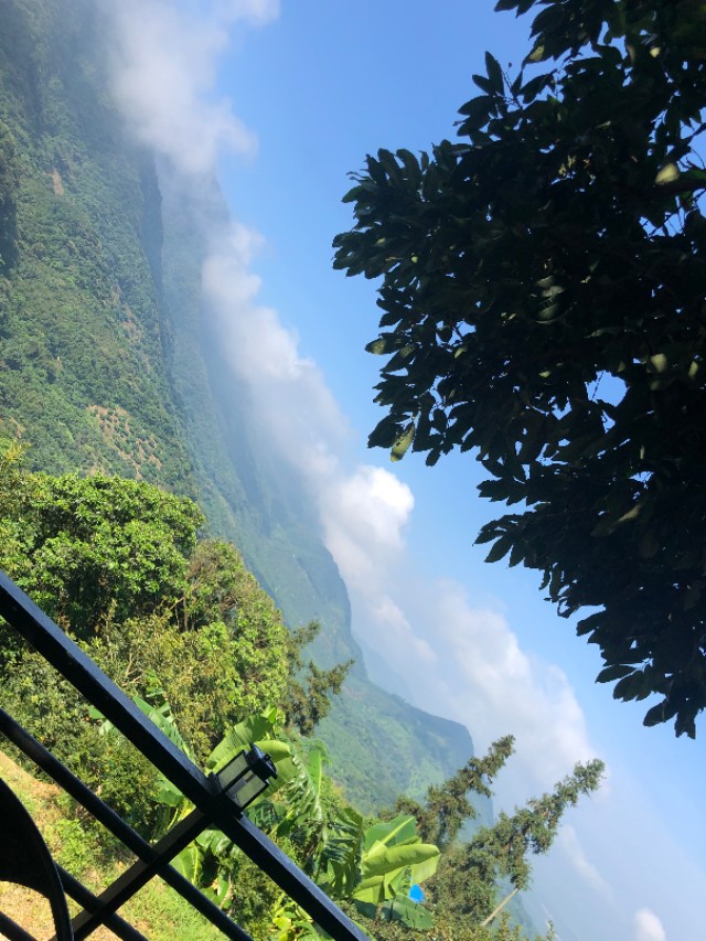 我的孕期记录表,我的孕期记录双胞胎