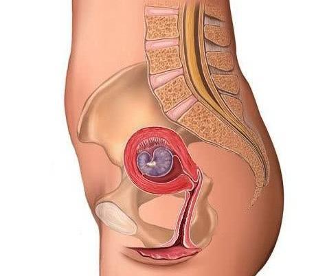 判断怀孕之后需要做什么检查,检查怀孕能力方法有哪些