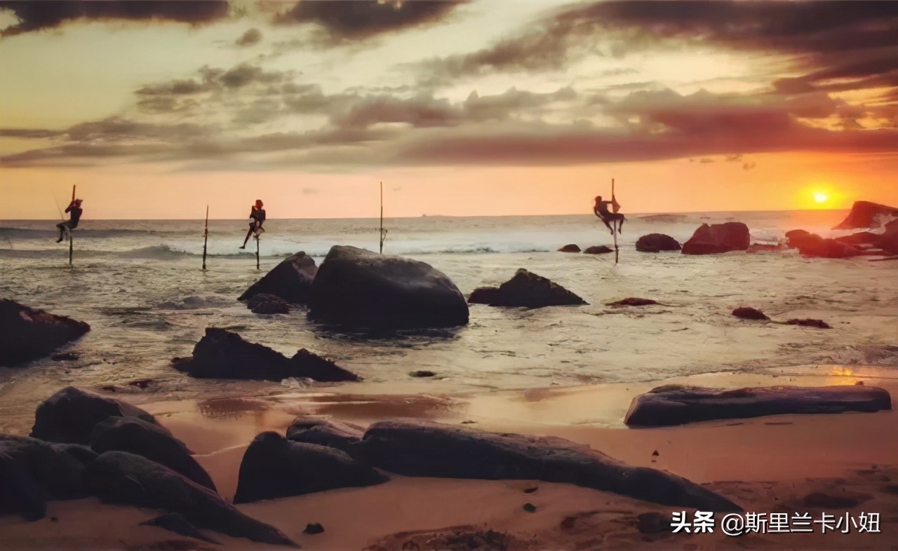 入境斯里兰卡旅游需要什么,斯里兰卡最新入境政策