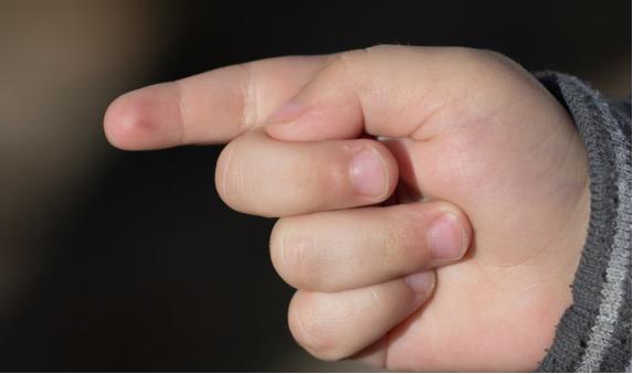 适合宝宝玩的益智玩具游戏,儿童益智玩具游戏