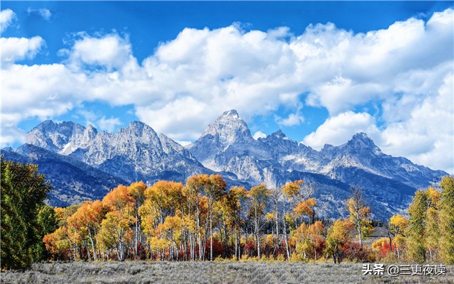 心若向阳何惧忧伤歌词,心若向阳何惧忧伤安之若素