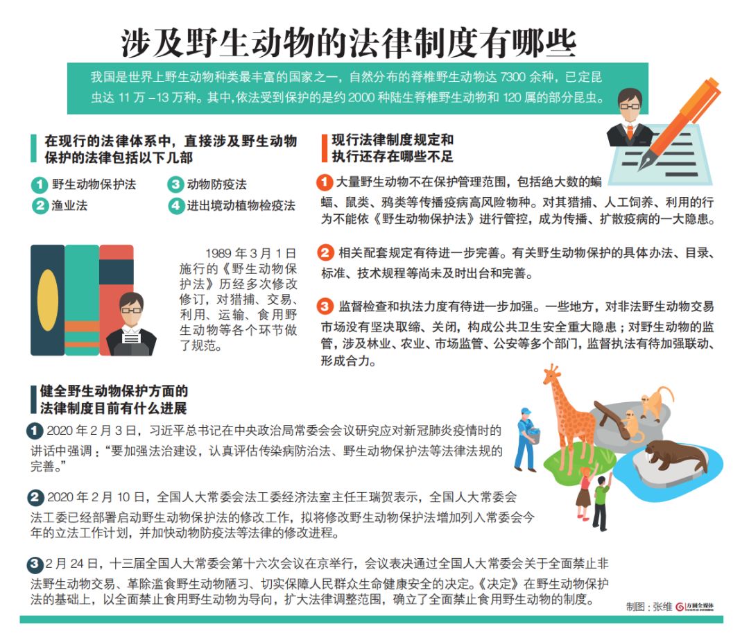 今天是个特殊纪念日，关于野生动物，我们需要了解这些……