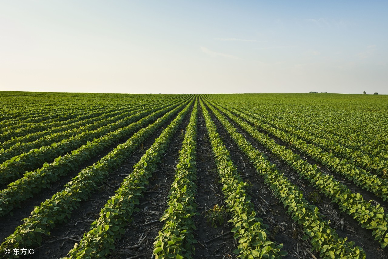 露露事件背后的故事,自媒体露露真实事件