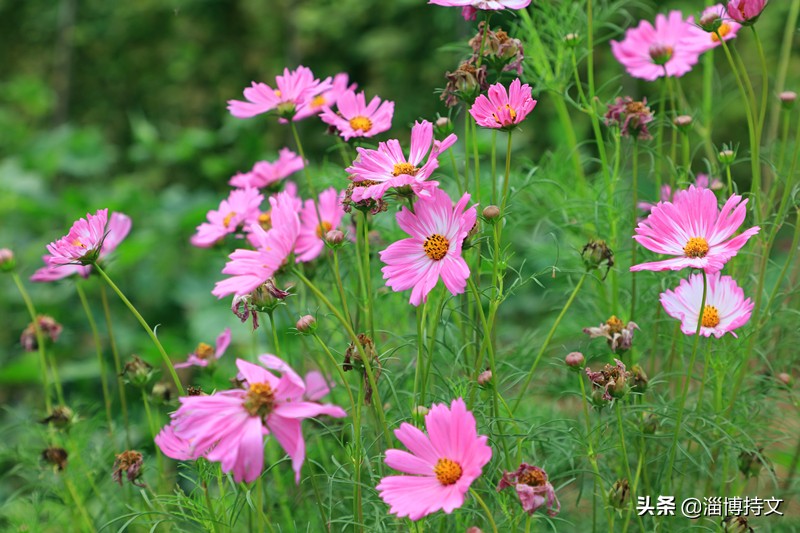 瑙︽懜涔℃剚鍙よ瘲鍥剧墖,瑙︽懜涔℃剚