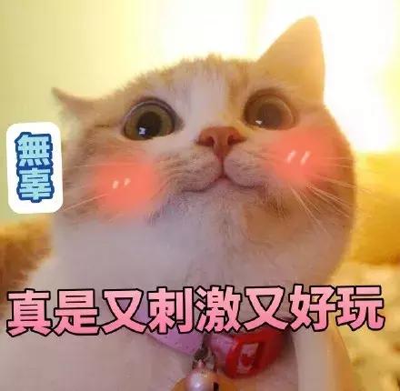 倩碧小黄油无油款叫不叫清爽型,倩碧小黄油有几种