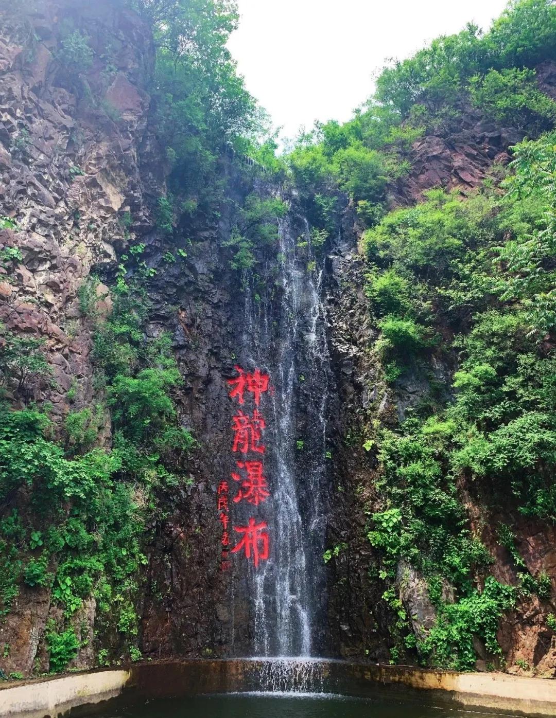 一个不出郑州的踏青好去处,天津春游公园推荐