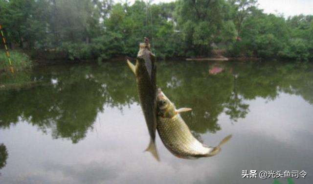 抛竿线组和主线的搭配,抛竿主线怎样连接串钩主线