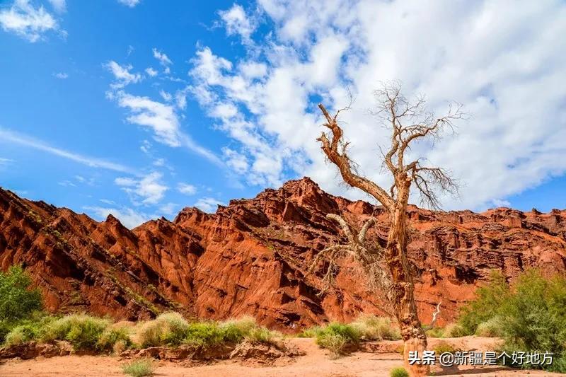 收藏!*疆新**60个“网红”打卡地都在这里