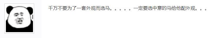 剑网三天策真男人是什么,剑网三天策女将军