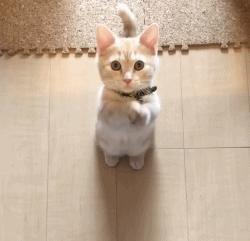 怎么用javascript更改html,java软件中如何更改字体大小