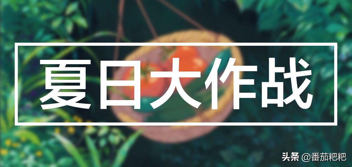 夏天来了美食合集,夏天来了好吃的东西