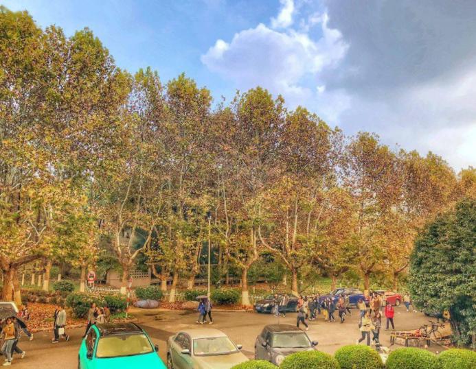 南大金陵学院终止办学,金陵学院停办学生怎么办