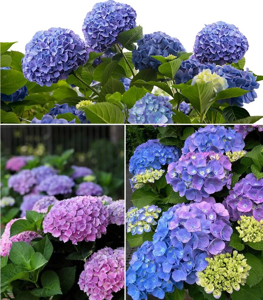 儿童水粉画春天简单又好看,儿童水粉画练习