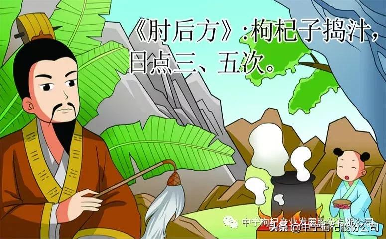 古代枸杞怎么用,古人枸杞子的用法