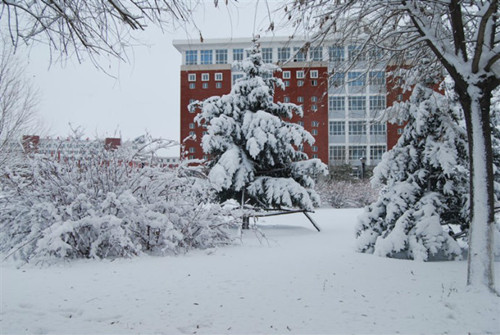 冬天的校园作文300字,描写冬天的校园短文100字