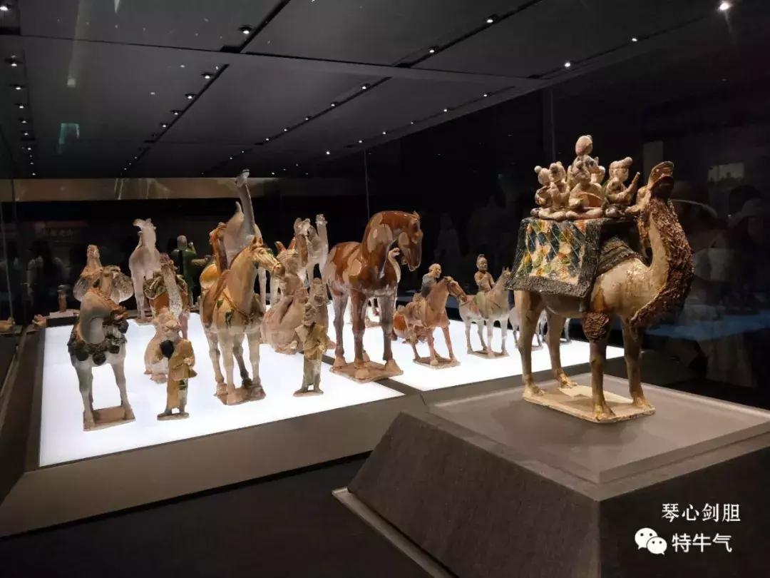 赤金走龙陕西历史博物馆,陕西历史博物馆抢票攻略