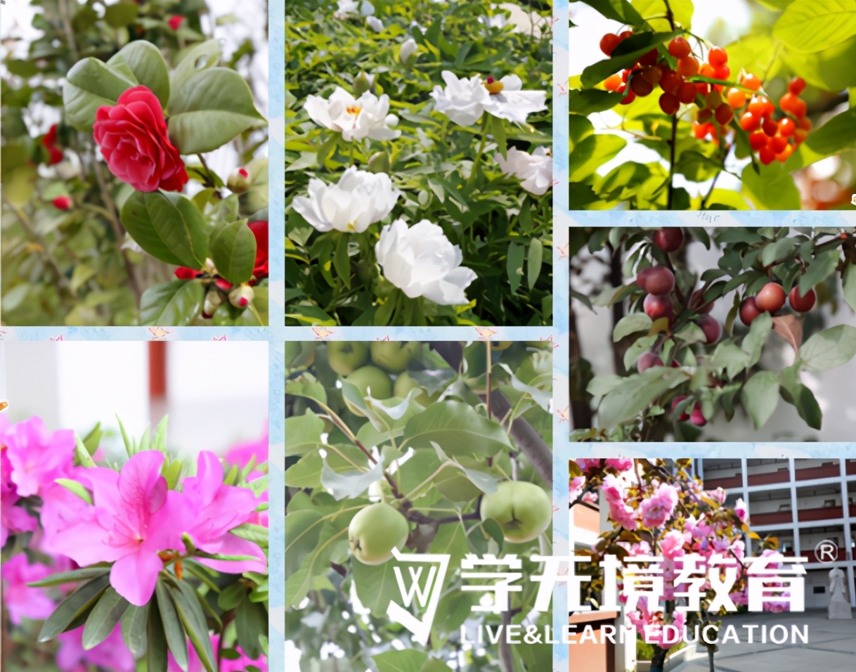 东西轴线东津段规划详细图,东西轴线东津