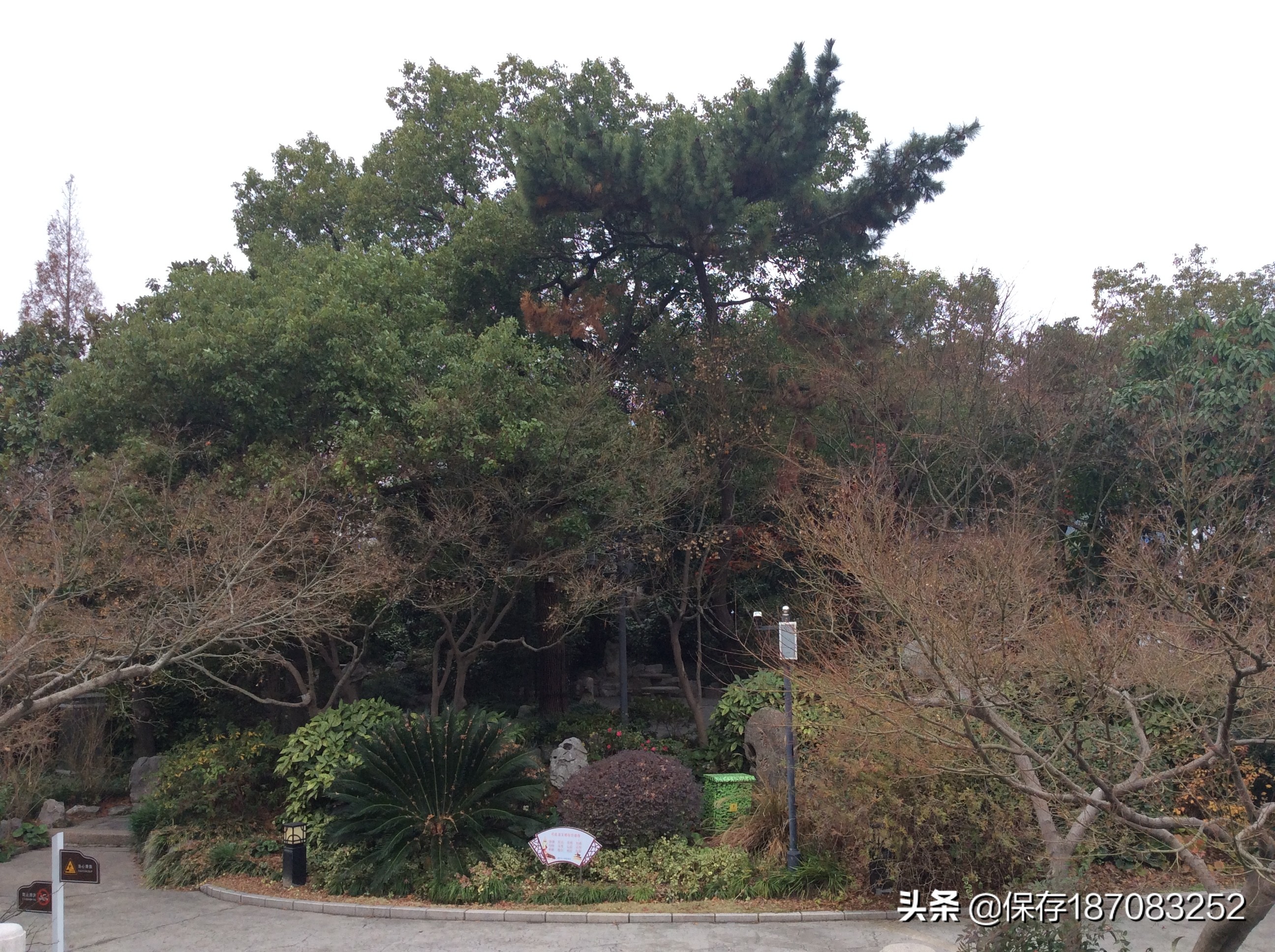 上海普陀山公园,普陀区长风公园在哪