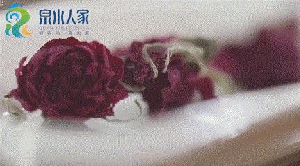 “老大哥”实力认证，25年0差评，细述济南天源玫瑰的从一而终