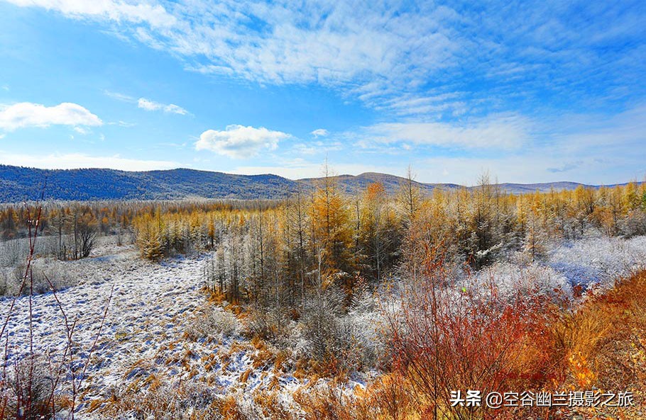 在莫尔道嘎,我遇见了最美的秋雪