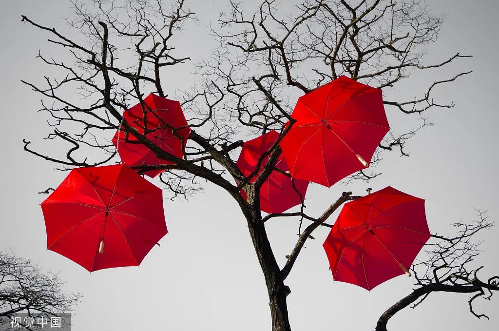 闲林暴涨行情,闲林房价为什么涨那么厉害