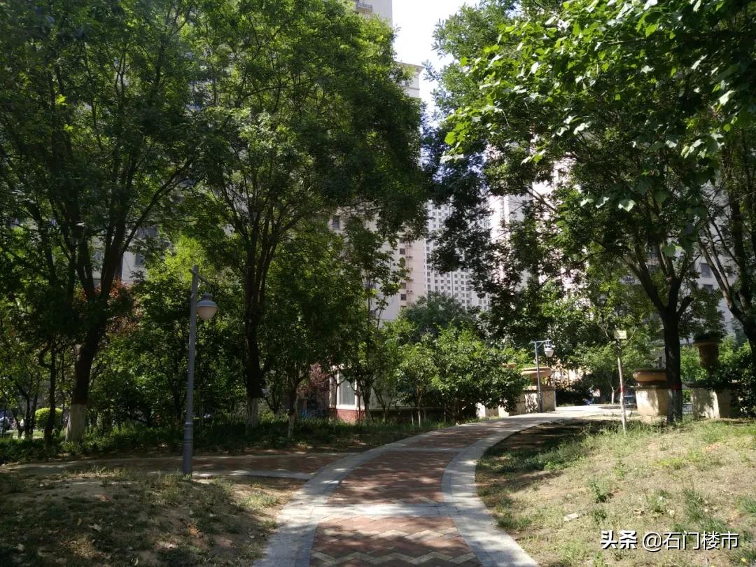 瀹炴帰鍚堣偉琚仐蹇樼殑鑰佹棫灏忓尯,瀹炴帰灏忓尯