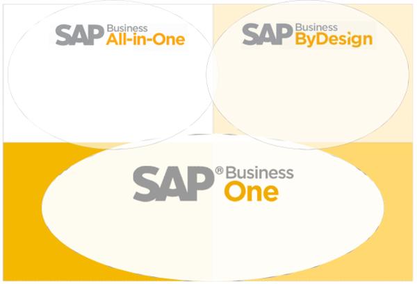 sapbusinessone简介,sapbusinessone缺点
