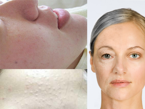 新西兰进口羊奶无添加,新西兰的羊奶哪个牌子最好