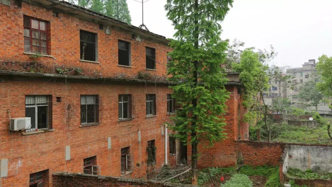 咸宁*毛老**巾厂的生活，几代人的青春