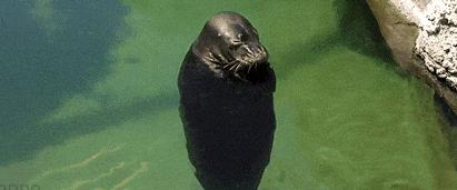 只要膀胱不炸裂，我憋着尿能把这套题做满分