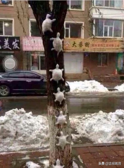 广大学生创业就业,学生外面赚钱