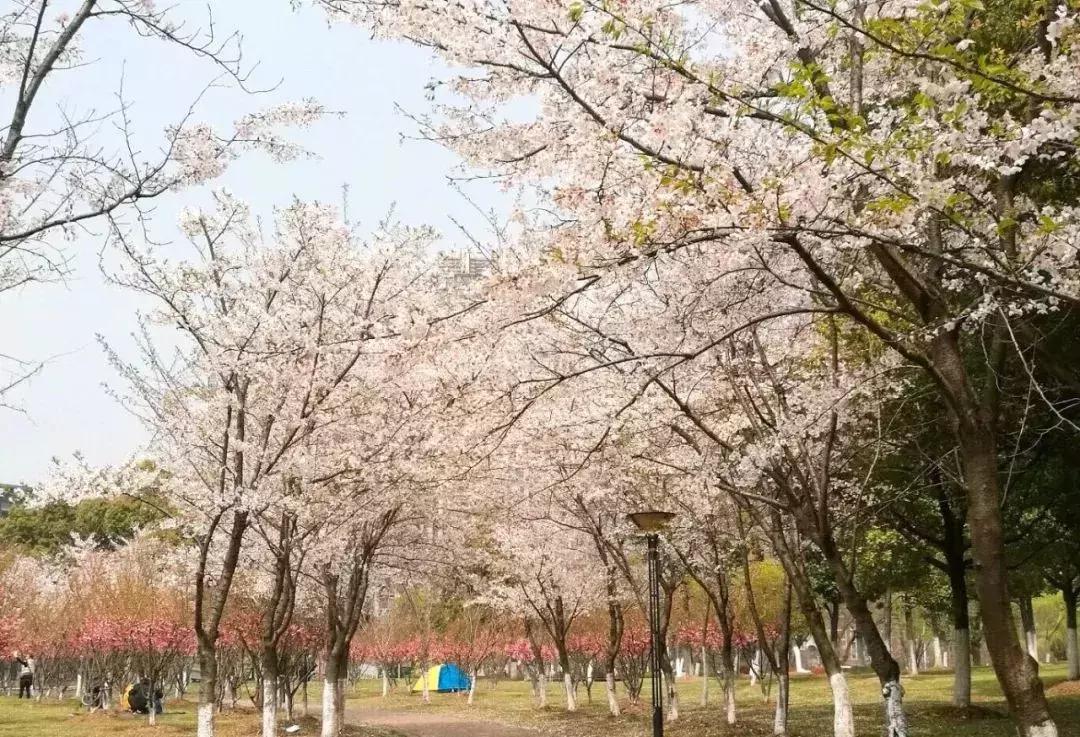 无锡遛娃户外免费,无锡惠山区遛娃好去处