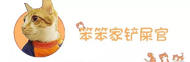 猫咪食物中毒怎么解毒,猫咪误食有毒植物的症状