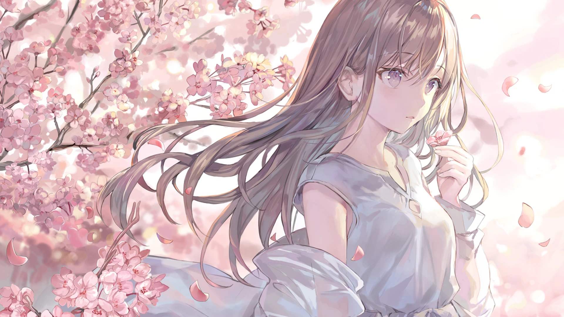 a站b站网站,a站b站c站的网站