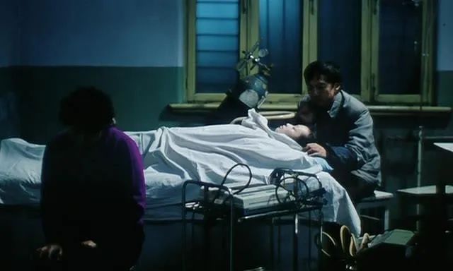 李冰冰警察电影老片子,李冰冰国产电影