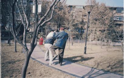 宋氏形意拳五行连环拳教学,宋氏形意拳横拳动作讲解