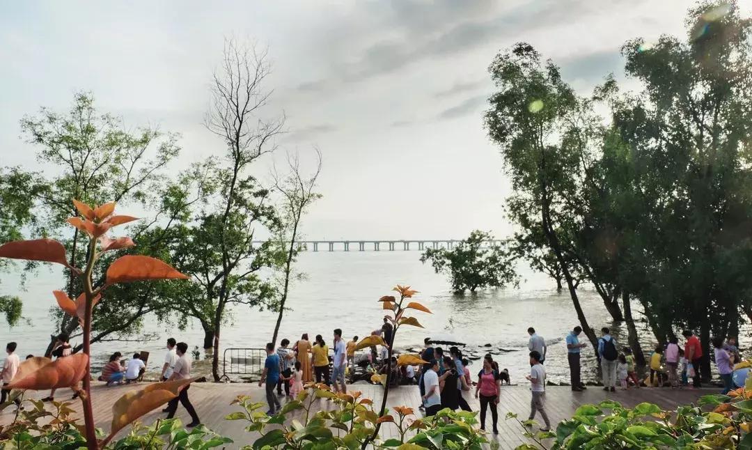 固戍是深圳哪个区,深圳西乡固戍村