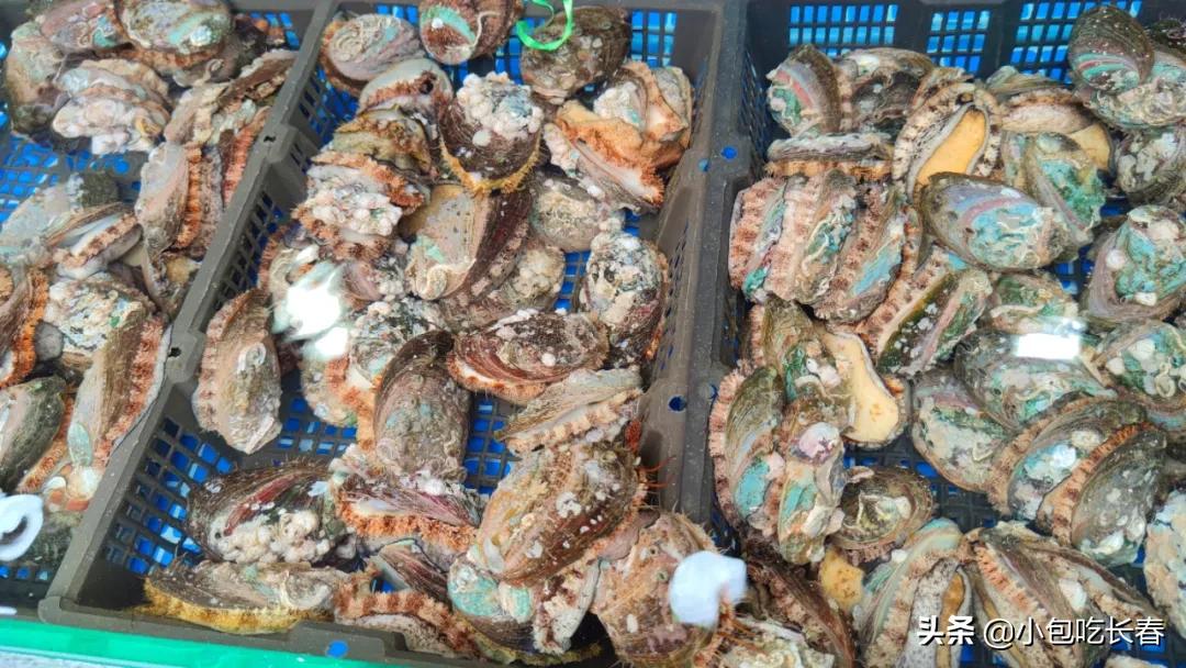 住邦夜市开了吗,住邦夜市在哪