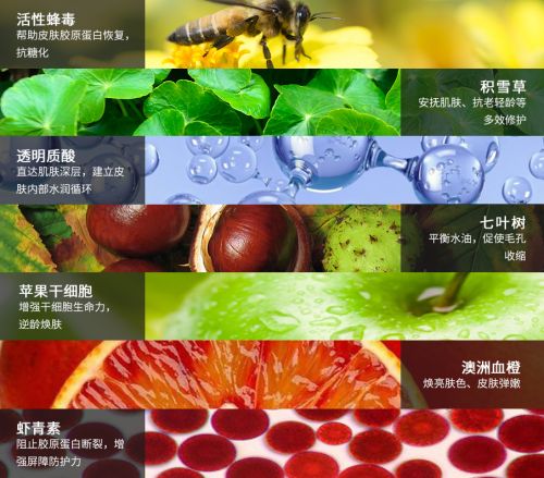 何洁越来越年轻,何洁穿衣又换新造型