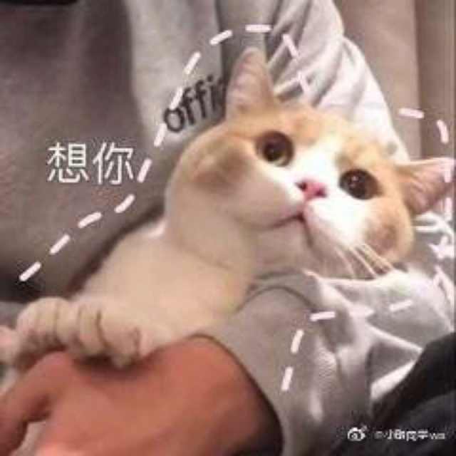 表情包我能怎么办呢,表情包我怎么找不到你了